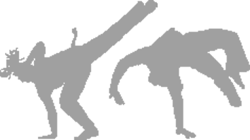 Wat is Capoeira?